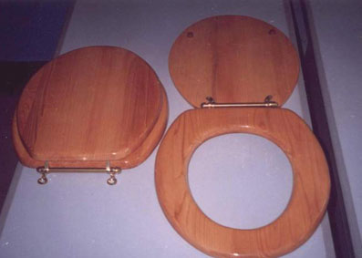 toilet seat