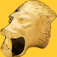lion elbow