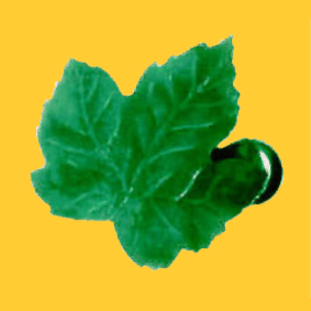 grape leaf
