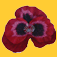 silk flower